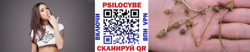 Галлюциногенные грибы Psilocybine cubensis  наркотики  Голицыно 